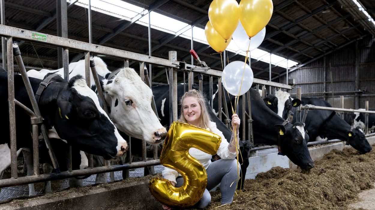 5 jaar Hoeksche Zuivel