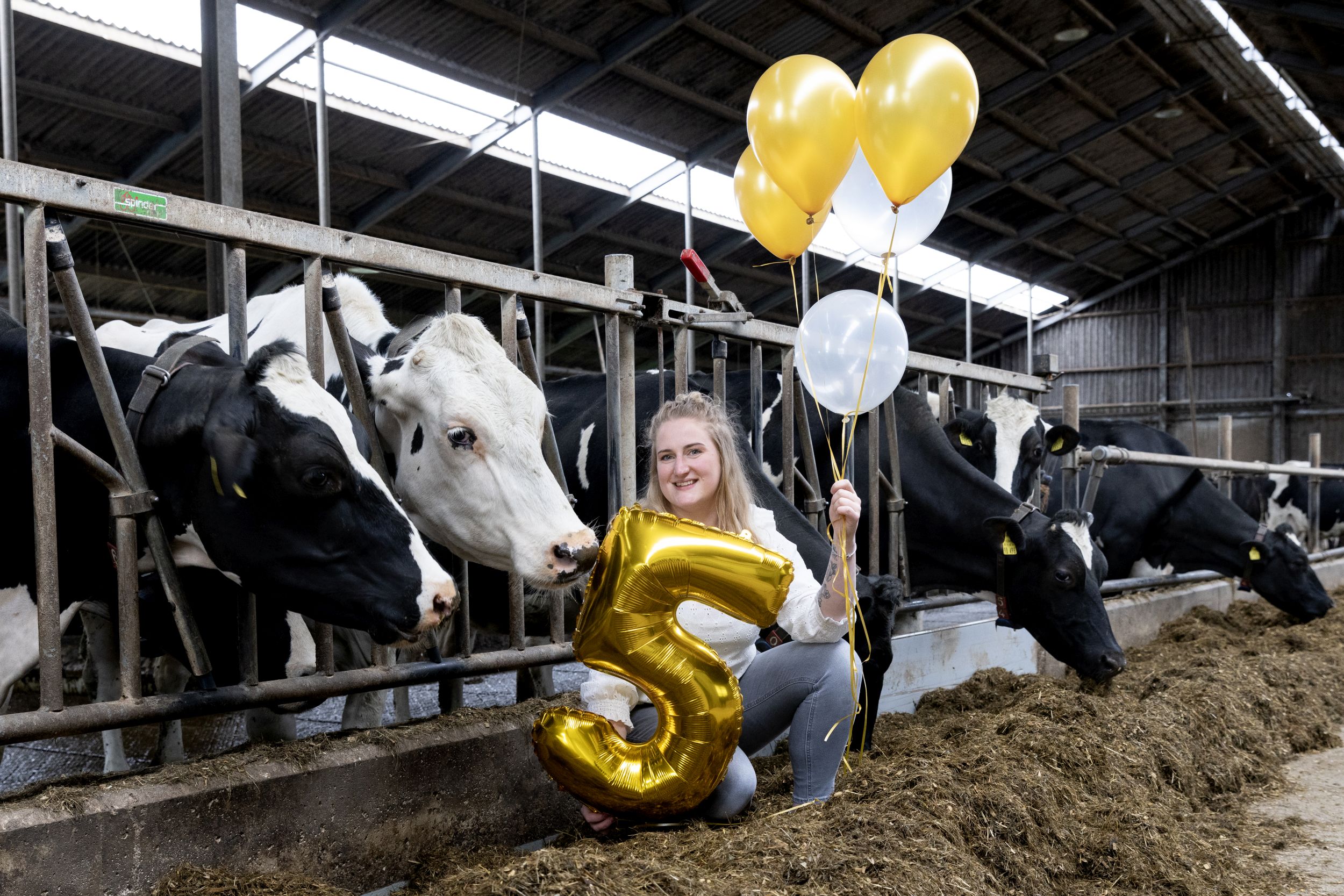 5 jaar Hoeksche Zuivel