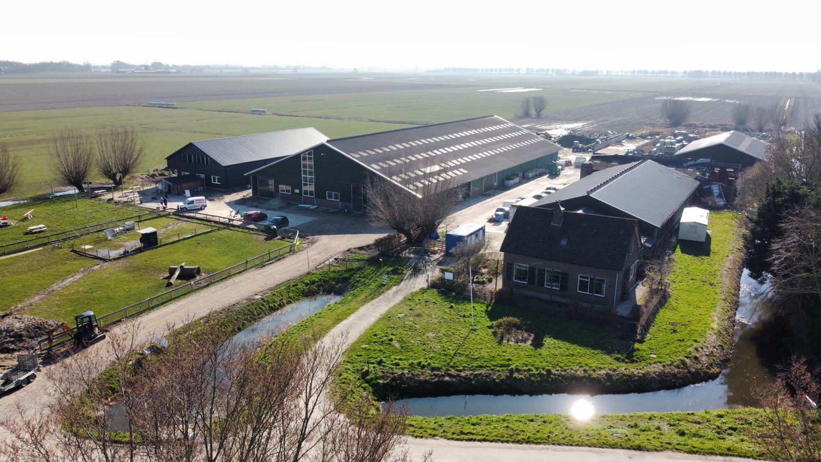 Hoeksche Zuivel Boerderij