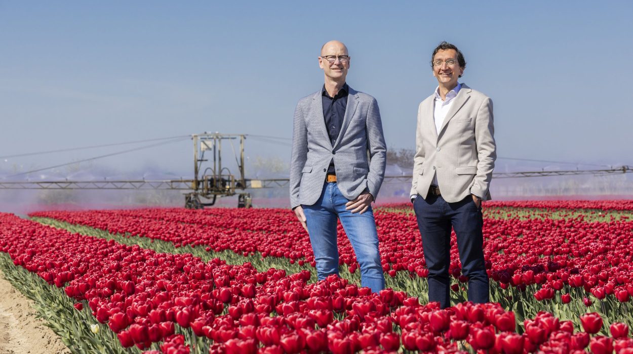 betrouwbaar verzekeringsadvies