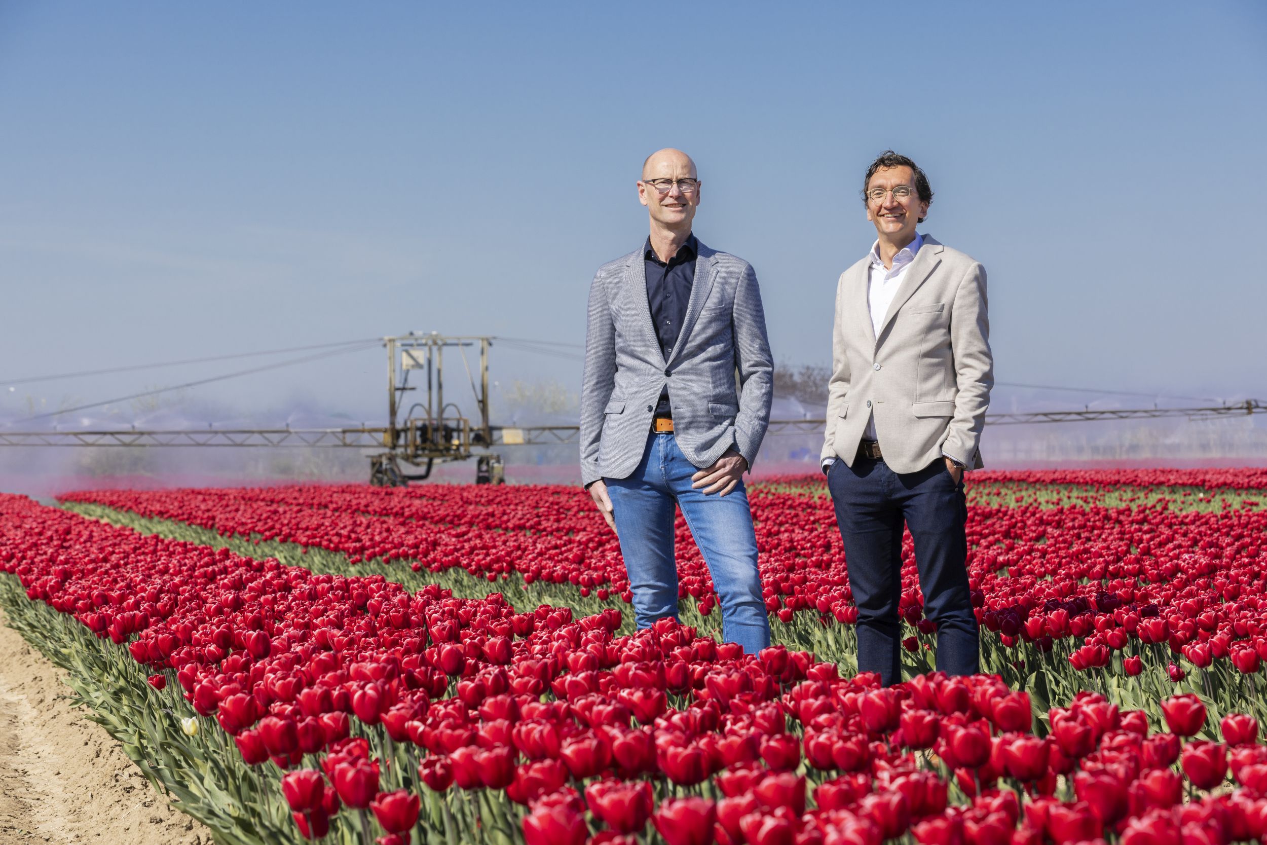 betrouwbaar verzekeringsadvies